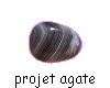 icne du projet Agate